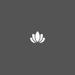 12-A8542vXy3DcP2v8k